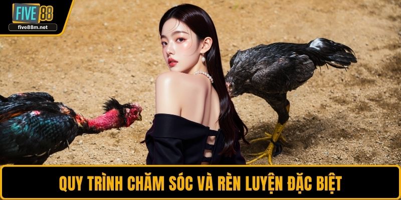 Quy trình chăm sóc và rèn luyện đặc biệt